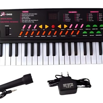 Toyoos 54 Keys Electronic Musical Keyboard Piano with Microphone & Power Adapter | 10 Tones, 10 Rhythms, 10 Demo Songs | Record & Playback | Learning Keyboard for Kids