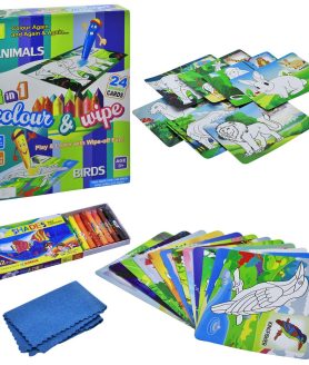 TOYOOS Color & Wipe Kit | 2 in 1 Animals & Birds Reusable Preschool Coloring Kit for Toddlers & Kids (3+ Years)
