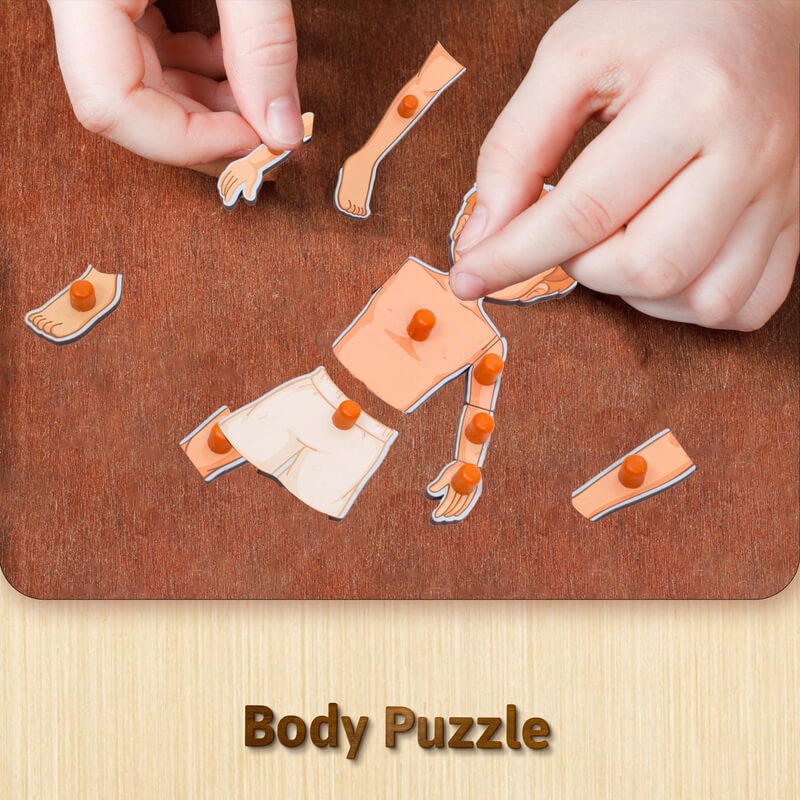 Body-5